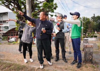 將民怨變改善進度表 林岱樺促黑板樹汰換定案 將民怨變改善進度表 林岱樺促黑板樹汰換定案