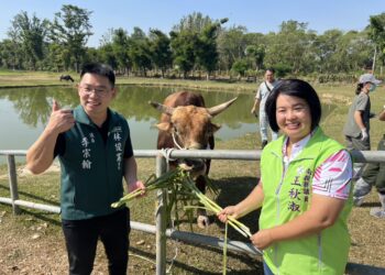 疑遭受虐南投牛入籍台南 議員跨縣市共同撫養 疑遭受虐南投牛入籍台南 議員跨縣市共同撫養