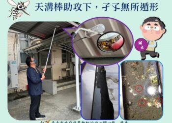 南市啟動天溝查核專案,市長黃偉哲請民眾上下內外一起清「孑」,「孓」無病媒保安康 南市啟動天溝查核專案,市長黃偉哲請民眾上下內外一起清「孑」,「孓」無病媒保安康