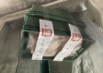 臺南市政府衛生局公布113年度肉類加工食品製造業執行稽查抽驗結果。 臺南市政府衛生局公布113年度肉類加工食品製造業執行稽查抽驗結果。