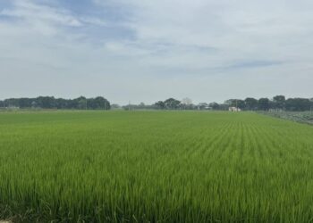 中度颱風「山陀兒」持續增強中 黃偉哲市長呼籲農友嚴加戒備 中度颱風「山陀兒」持續增強中 黃偉哲市長呼籲農友嚴加戒備
