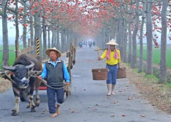 臺南市政府民治市政中心藝文展：【臺南400•藝啟精彩】〜何瑞林攝影展•發現故鄉之美（民治市政中心發布）
