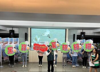 黑琵陸續飛抵臺南度冬，2024黑面琵鷺保育季20日登場