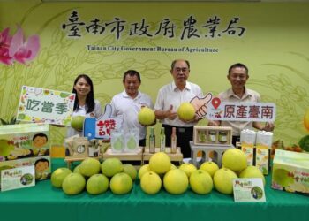 霜降知深秋 臺南柚子最後產季 請消費者把握好時節 霜降知深秋 臺南柚子最後產季 請消費者把握好時節