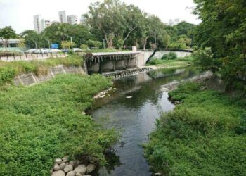 竹溪水質再提升!第二期淨化場工程年底前動工 黃偉哲市長:成功爭取4.6億元補助並獲議會同意墊付 竹溪水質再提升!第二期淨化場工程年底前動工 黃偉哲市長:成功爭取4.6億元補助並獲議會同意墊付