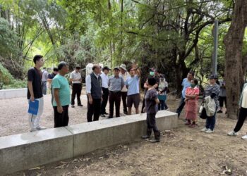 哈赫拿爾森林公園預備開放！森林生態完整保留，歡迎市民體驗