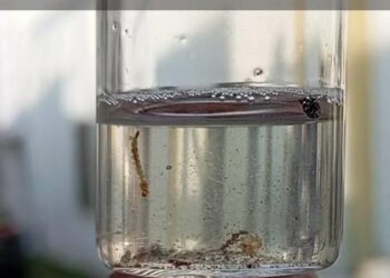 預防登革熱,強化運動場館巡查人員孳清能力,落實防治工作,運動無蚊好安心! 預防登革熱,強化運動場館巡查人員孳清能力,落實防治工作,運動無蚊好安心!