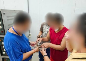 暖心香甜，烘焙療癒體驗日：讓烘焙成為治癒心靈的橋樑