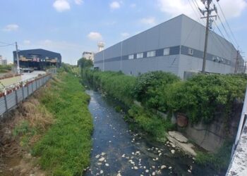 臺南市獲水利署力挺應急工程1.19億元 防洪安全添保障 臺南市獲水利署力挺應急工程1.19億元 防洪安全添保障