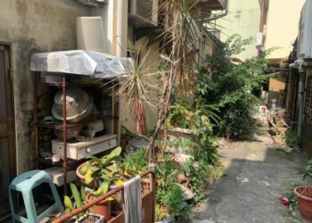 污水用戶接管後巷環境美化 居住品質提升看得見 污水用戶接管後巷環境美化 居住品質提升看得見