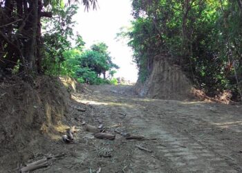 坡地整理要申請 齊心護山顧村里