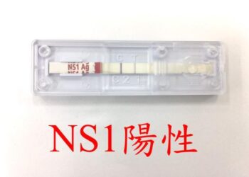 百家前哨大軍加入登革熱定醫監測計畫，通報率提升讓病毒立現蹤!