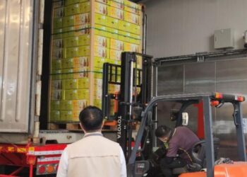 黃偉哲市長積極推動鳳梨外銷 打開紐西蘭國際市場新局面