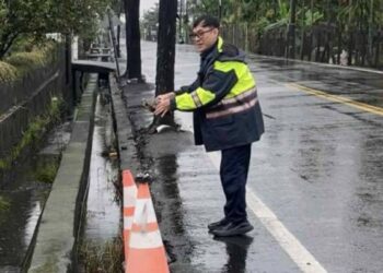 大雨致陸龜誤入車道 潮暖警即時援手助陸龜安全過馬路 大雨致陸龜誤入車道 潮暖警即時援手助陸龜安全過馬路