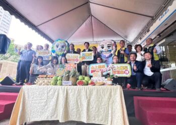 安平劍獅寶寶「平平」「安安」北上板橋賣鳳梨，強力推廣臺南鳳梨農特產品!