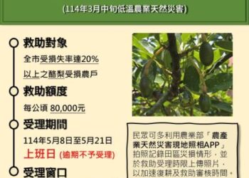 3月中旬低溫干擾臺南市酪梨著果情形 5月8日至5月21日受理現金救助申請 3月中旬低溫干擾臺南市酪梨著果情形 5月8日至5月21日受理現金救助申請