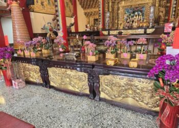 農業局媒合蘭花園業者與廟宇推廣蝴蝶蘭 信衆大讚好點子 供奉蘭花表敬意 農業局媒合蘭花園業者與廟宇推廣蝴蝶蘭 信衆大讚好點子 供奉蘭花表敬意