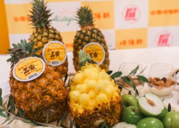 屏東鳳梨芋頭農產品發表記者會　台灣南國熱情日本吃得到