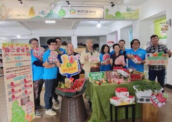 歸仁草莓產業異軍突起農會首辦草莓季　台南唯一無農藥加產銷履歷雙認證