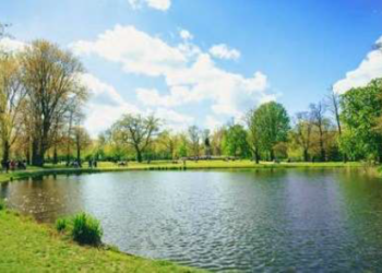 黃偉哲爭取白河林初埤清淤活化 造福溪北農業觀光