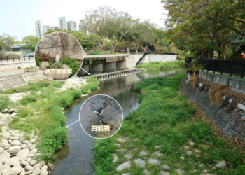 築夢之溪，風華再現