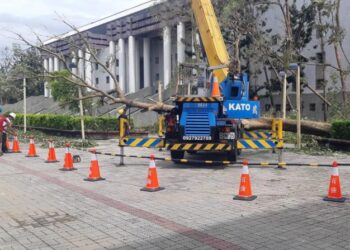 丹娜絲颱風嚴重造成本市體育局所轄各場館損壞,體育局正積極進行搶災,體育局長勘查本月舉行U12世界棒球賽場地以確保比賽順利進行 丹娜絲颱風嚴重造成本市體育局所轄各場館損壞,體育局正積極進行搶災,體育局長勘查本月舉行U12世界棒球賽場地以確保比賽順利進行