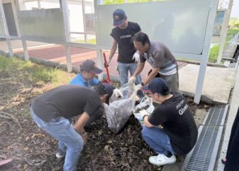 校園風災公私協力加速完成復原 美光科技公司號召志工至西港區成功國小與七股區三股國小清理環境 校園風災公私協力加速完成復原 美光科技公司號召志工至西港區成功國小與七股區三股國小清理環境