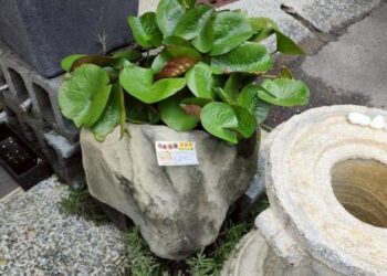 南市新增2例登革熱境外移入病例,市長黃偉哲請民眾旅遊不忘防蚊措施,醫療院所應依法加強個案通報! 南市新增2例登革熱境外移入病例,市長黃偉哲請民眾旅遊不忘防蚊措施,醫療院所應依法加強個案通報!