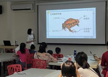 南市農業局辦理外來入侵蛙類防治宣活動 寓教於樂DIY歡迎親子參加 南市農業局辦理外來入侵蛙類防治宣活動 寓教於樂DIY歡迎親子參加
