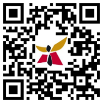 《陪小君走過風雨:一段生命守護的故事》 《陪小君走過風雨:一段生命守護的故事》