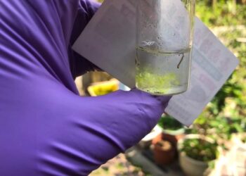 南市確診第六例境外移入登革熱個案，具印尼旅遊史，且病毒型別為第三型，請民眾務必於雨後加強清除積水容器，消滅斑蚊就沒有登革熱！