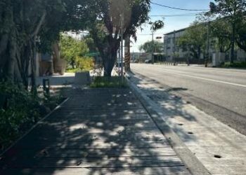南安國小校地化身通學步道 寬敞舒適綠意盎然 家長學童齊聲稱讚 南安國小校地化身通學步道 寬敞舒適綠意盎然 家長學童齊聲稱讚