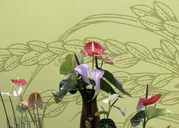 火鶴花傳情 外銷創佳績