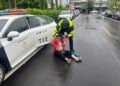 阿嬤颱風天外出被風吹倒 溫馨內埔警護送回家暨內埔警訊 阿嬤颱風天外出被風吹倒 溫馨內埔警護送回家暨內埔警訊