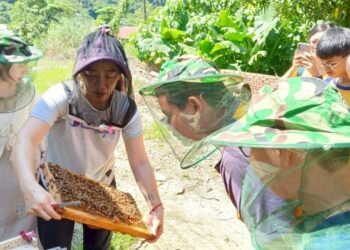 開發多元管道 引領學生探索未來 臺南創新推動國中技藝或職業在地課後課程