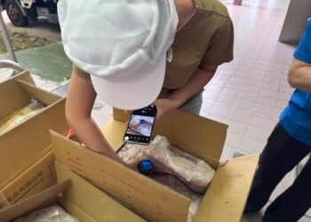 防堵非洲豬瘟 南市學校午餐全面啟動食安應變措施 11月底前暫停使用溫體豬 防堵非洲豬瘟 南市學校午餐全面啟動食安應變措施 11月底前暫停使用溫體豬