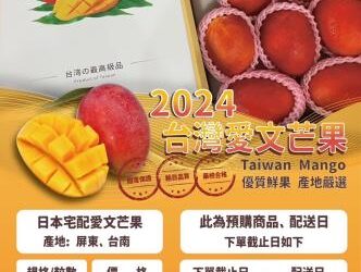 臺南芒果、甜蜜交陪~2024臺南芒果台灣下單日本取貨來囉!