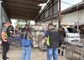 動保處公私協力打擊非法繁殖場嚴懲不怠