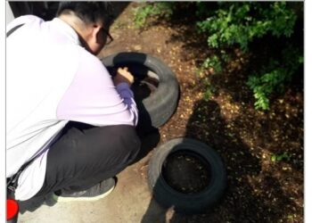 雨後孶生源飆高，最新登革熱病例及蚊媒資料，南市登革熱防治中心網站報乎給你知！