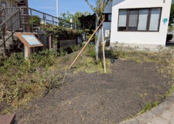 臺南下水污泥再利用再進化 打造循環經濟永續城市 臺南下水污泥再利用再進化 打造循環經濟永續城市