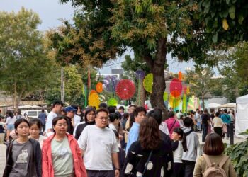 春節國旅爆棚!勝利星村湧200萬人次 「奇幻大津」一票難求 春節國旅爆棚!勝利星村湧200萬人次 「奇幻大津」一票難求