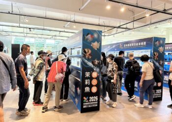 屏東農業物產館化身國際舞台 2026孔雀魚世界盃2月底繽紛競艷 屏東農業物產館化身國際舞台 2026孔雀魚世界盃2月底繽紛競艷
