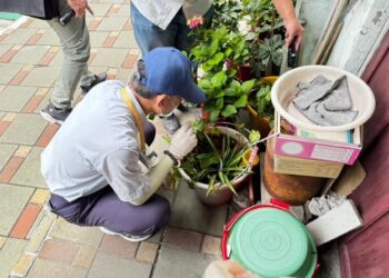 連日豪雨，雨停請立即清除居家周圍積水容器，南市府將於雨後加強稽查，查獲孳生源開罰三千!
