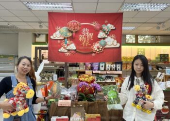 走春來太康 幸福加馬享健康 走春來太康 幸福加馬享健康