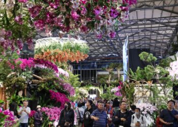 白天賞蘭展、晚上犁蜂炮！黃偉哲邀元宵日夜暢遊臺南雙重盛典