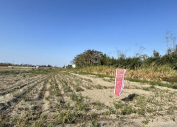 臺南市政府訂於115年5月13日辦理農地重劃區抵費地及零星集中土地開標，黃偉哲歡迎各界踴躍投標