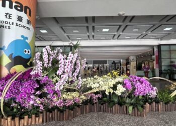 巧思打造蘭藝辦公空間    延續卸展蘭花生命力！