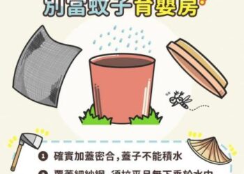 南市府召開登革熱跨局處會議，聖嬰年爆發風險高，4月起將針對高風險場域加強稽查，查獲孳生源將開罰！