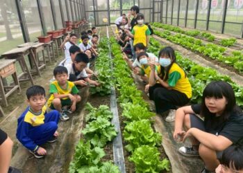 當季尚青!臺南在地食材入校園 邀全民共食盛產高麗菜 當季尚青!臺南在地食材入校園 邀全民共食盛產高麗菜
