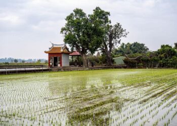 戀˙土地 敬˙伯公「餞影jien iangˋ－典藏攝影藝術展」臺南巡迴特展　尋訪臺南客家伯公系列四：白河三角潭庄福德廟